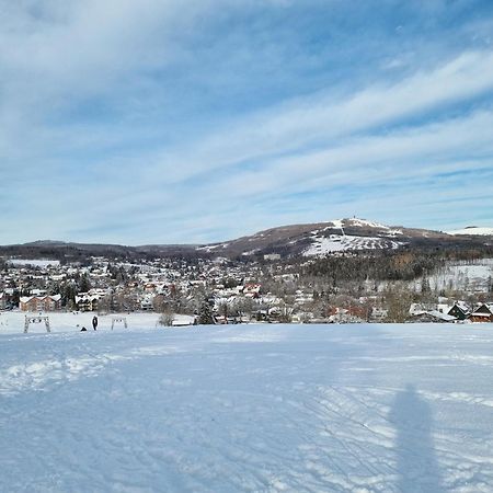 Appartamento Harzilein Braunlage Esterno foto