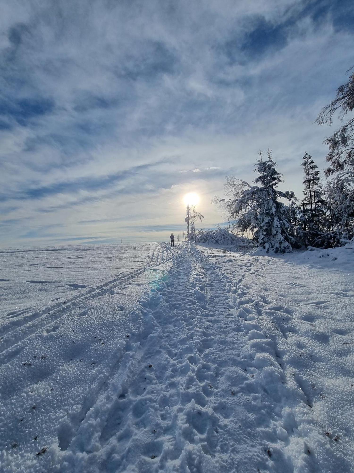 Appartamento Harzilein Braunlage Esterno foto